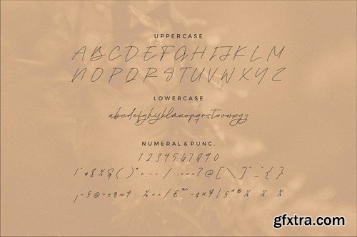 Whitesligh Monoline Signature Font GGZ5B2A