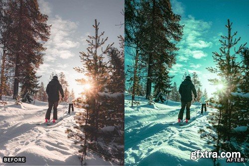 Snow & Winter Presets for Lightroom and Photoshop XNPVGWN