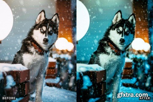 Snow & Winter Presets for Lightroom and Photoshop XNPVGWN