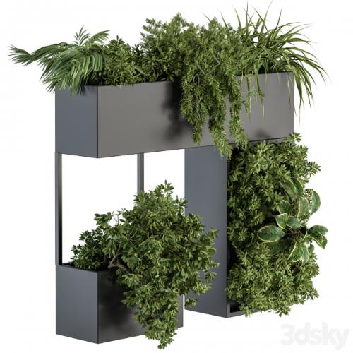 Plant Box on wall - indoor Plants 300