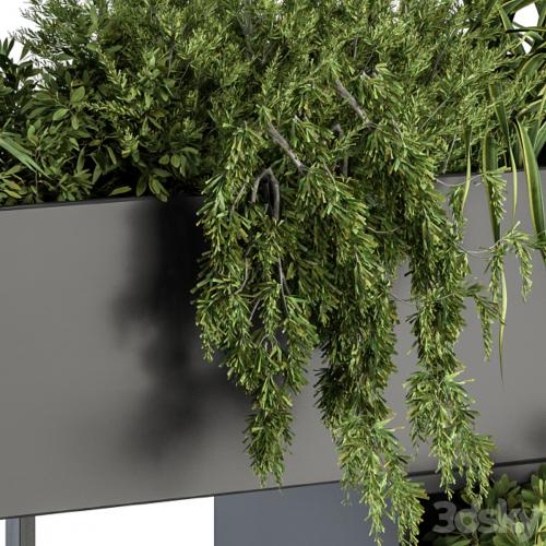 Plant Box on wall - indoor Plants 300