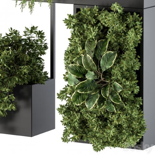 Plant Box on wall - indoor Plants 300