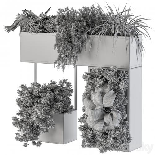 Plant Box on wall - indoor Plants 300