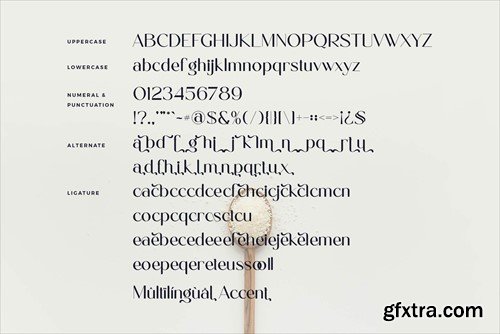 Polenta - Modern Ligature Font CRN2FX4