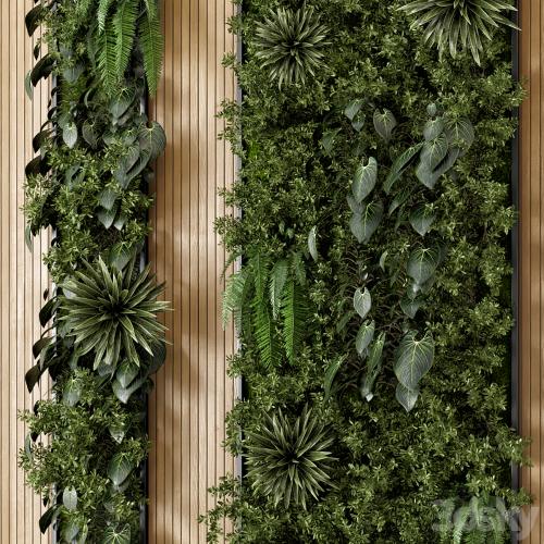 Indoor Wall Vertical Garden in Wooden Base - Set 536