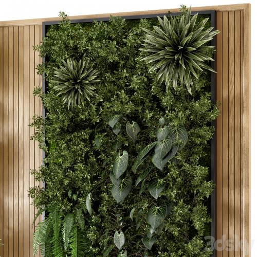 Indoor Wall Vertical Garden in Wooden Base - Set 536