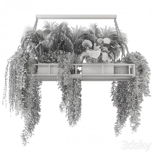 Indoor Hanging Plants in Metal Box - Set 71