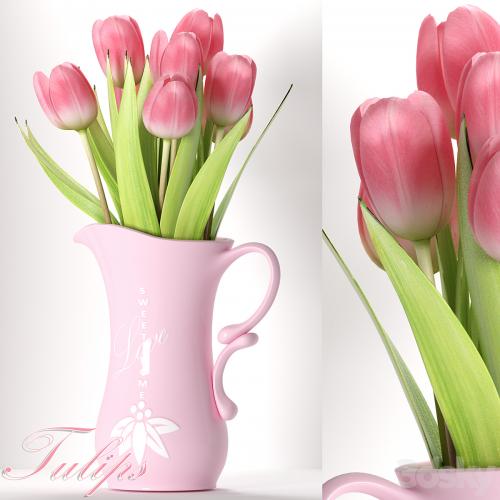 TULIP 8