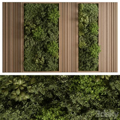 Vertical Garden - Green Wall 74