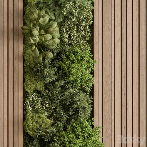 Vertical Garden - Green Wall 74