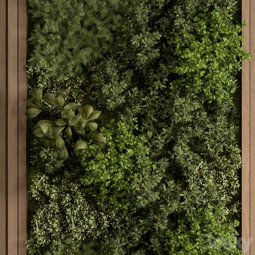 Vertical Garden - Green Wall 74