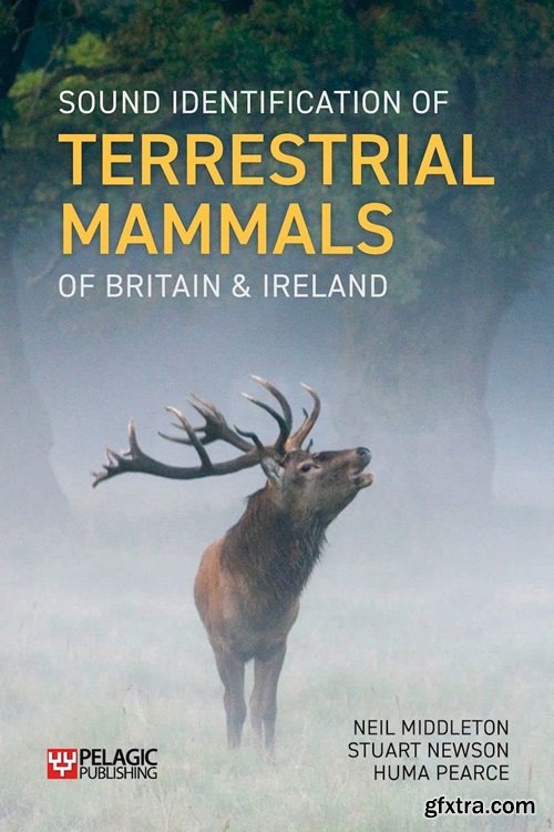 Sound Identification of Terrestrial Mammals of Britain & Ireland