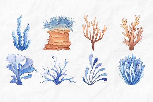 Undersea Watercolor Illustration V3