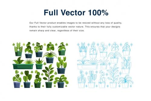 Houseplant Elements Vector Illustration