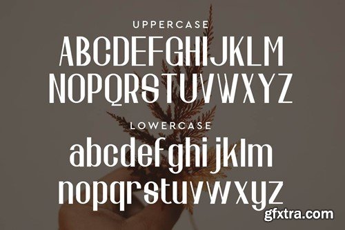 Galine | Minimalist Elegant Font 7V4XM9K