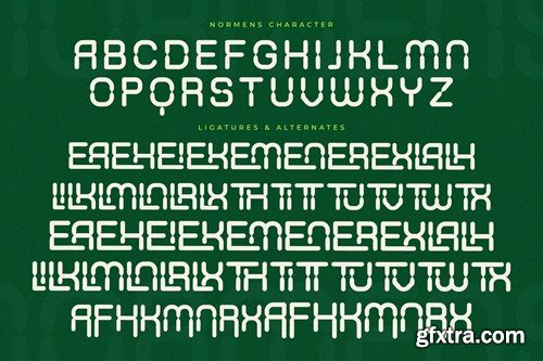 Normens New Display Font F8RZ4GC