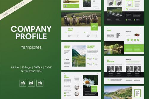 Company Profile