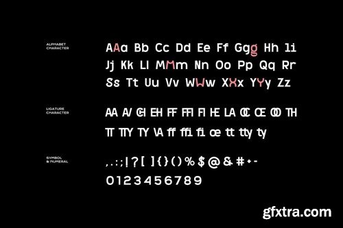 Mono Rogient - Modern Sans Display Font 49CZP9D