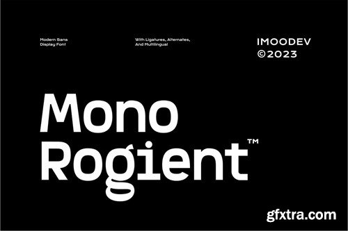 Mono Rogient - Modern Sans Display Font 49CZP9D