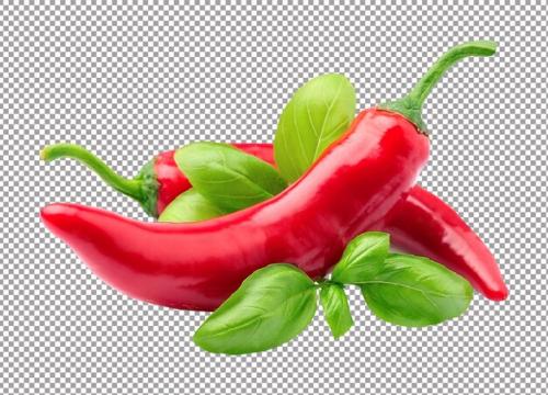 Chili Pepper With Basil On White Background