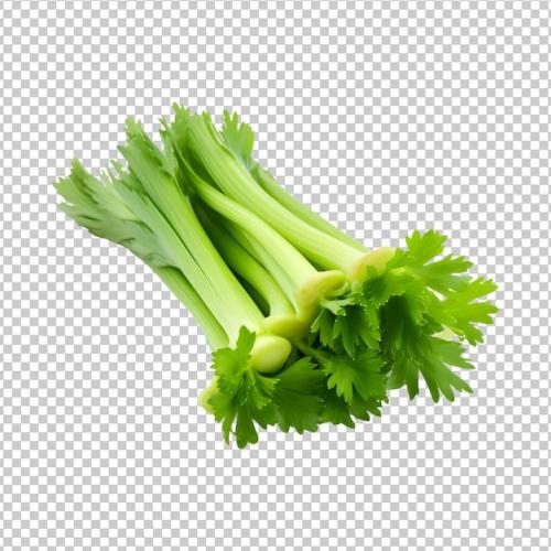 Green Farm Fresh Celery Isolated On A Transparent Background