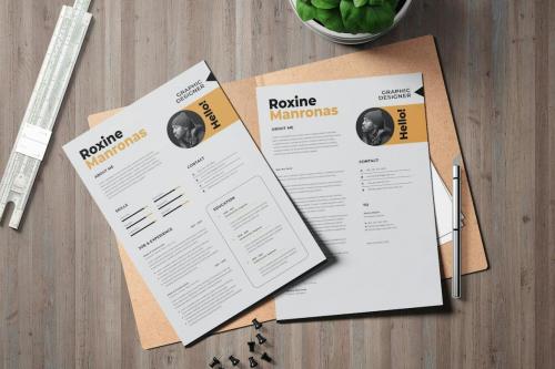 Business CV Resume Template