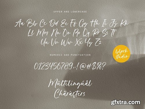 Hillary Austine Script Font RPD9QBA