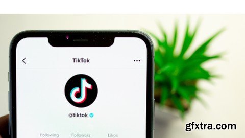 Guide To Running Successful Tiktok Ads For Ecommerce Brands