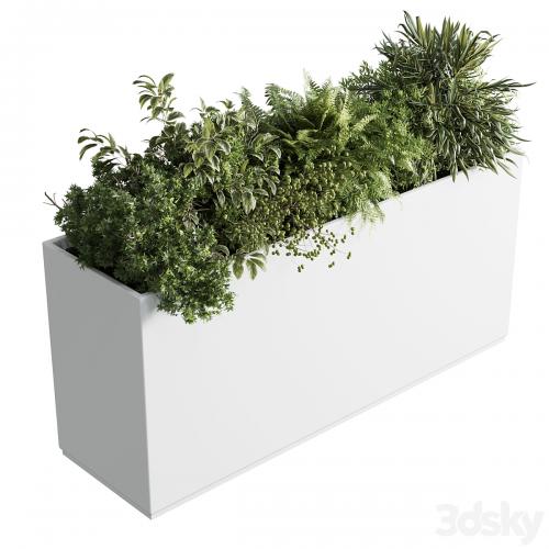 Office plant - plastic box plants on stand - set indoor plant 389