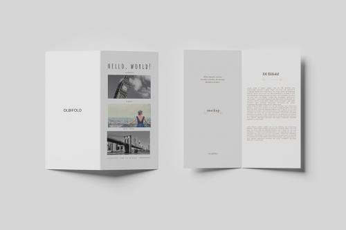 DL Bi-Fold Brochure Mockup