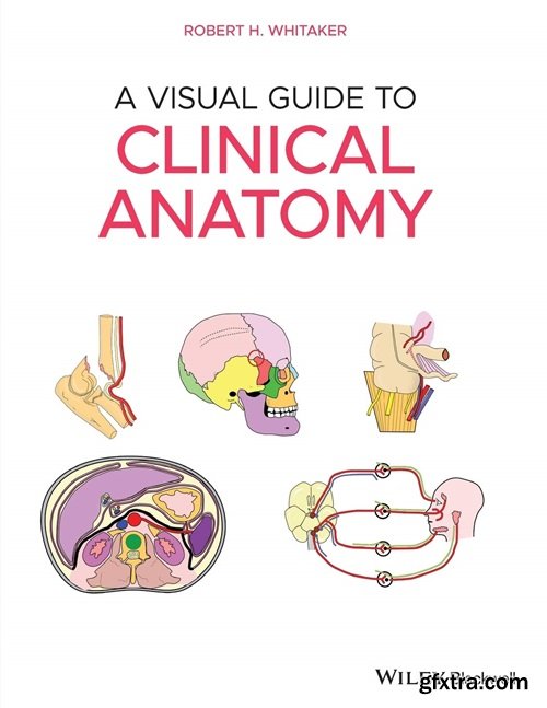 A Visual Guide to Clinical Anatomy