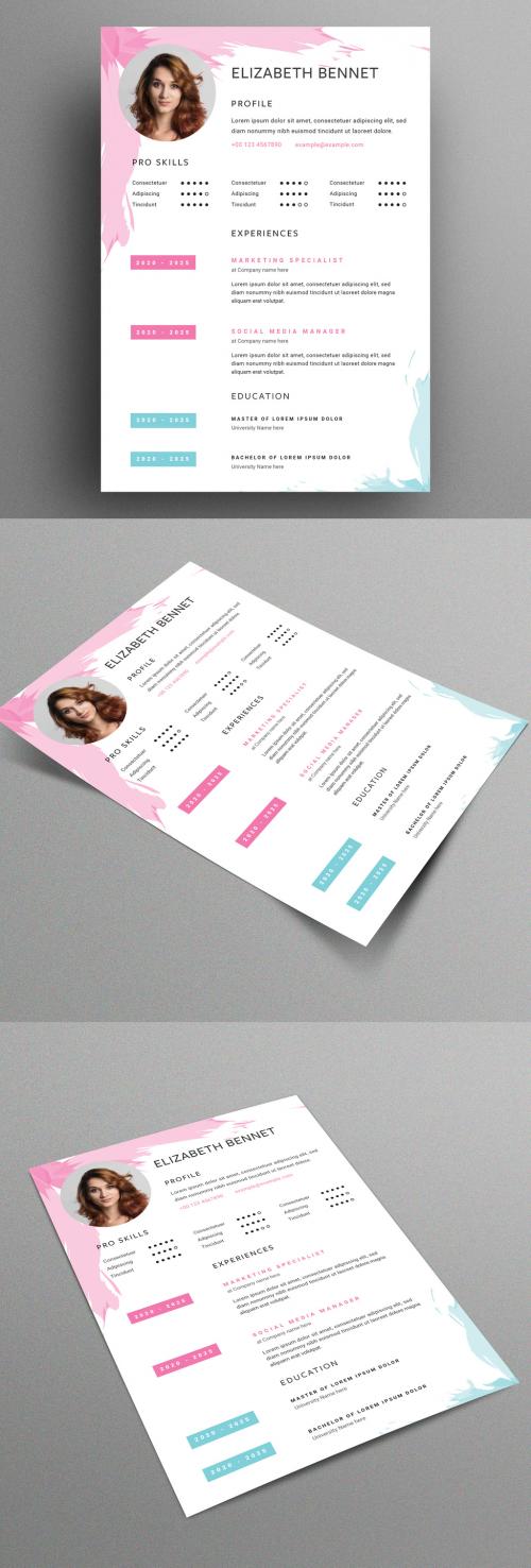 Creative Resume Layout with Brushstroke Graphic Elements - 353449913