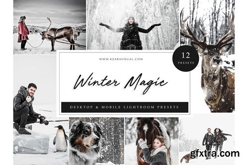 Winter Magic - Lightroom Presets E8WPELB
