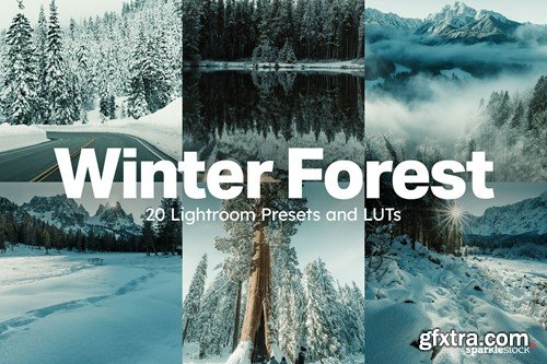 20 Winter Forest Lightroom Presets & LUTs LJ5X4LK