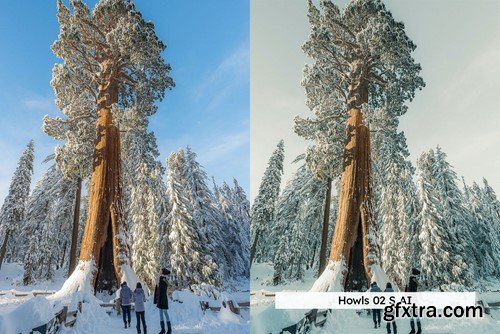 20 Winter Forest Lightroom Presets & LUTs LJ5X4LK