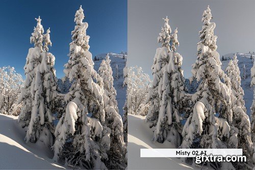 20 Winter Forest Lightroom Presets & LUTs LJ5X4LK