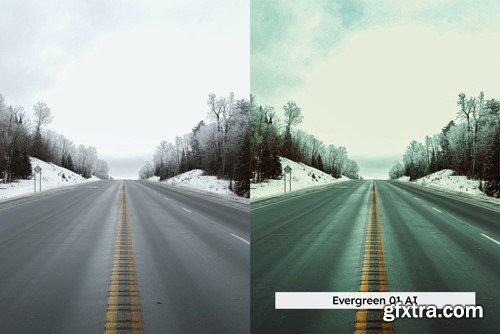 20 Winter Forest Lightroom Presets & LUTs LJ5X4LK