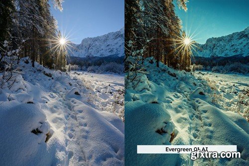 20 Winter Forest Lightroom Presets & LUTs LJ5X4LK