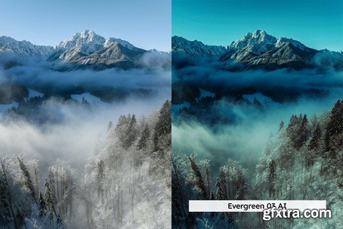 20 Winter Forest Lightroom Presets & LUTs LJ5X4LK