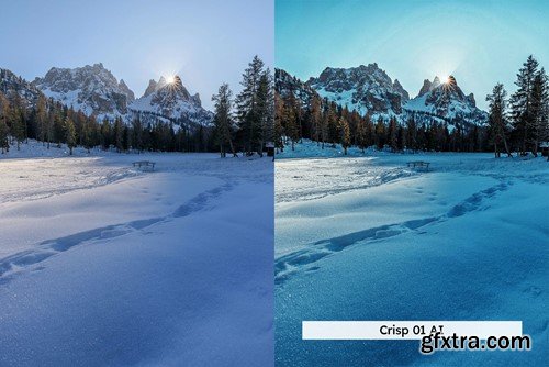 20 Winter Forest Lightroom Presets & LUTs LJ5X4LK