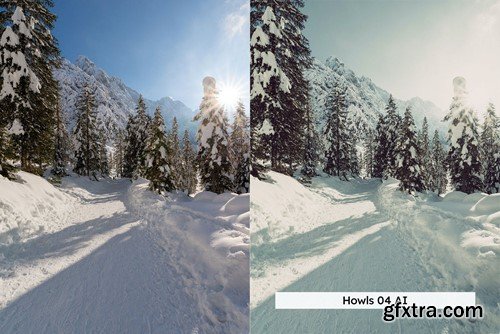 20 Winter Forest Lightroom Presets & LUTs LJ5X4LK