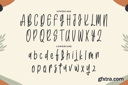 Ameliny - A Handwritten Font WHAFZF2