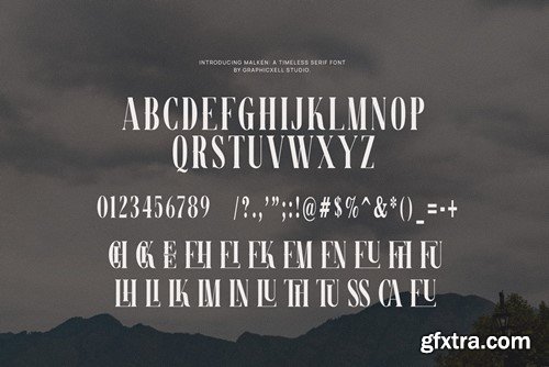 Malken Elegant Ligature Serif Font Typeface NWTDFGT