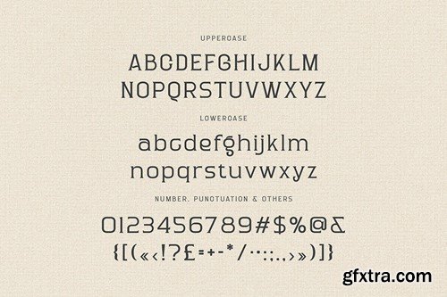 Donald Blakey Retro Serif PQ6QAXX