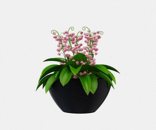 Plant 3d Rendering