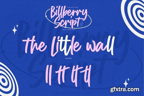 Billberry Script - Brush Script Font NDST2XK