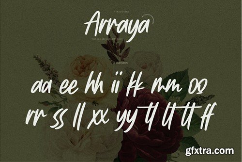 Arraya - This is a Brush Script Font D3RN9ZG