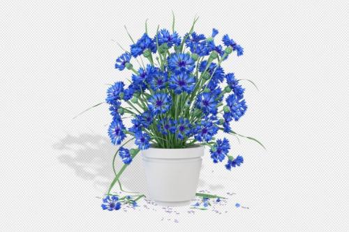 Plant 3d Rendering