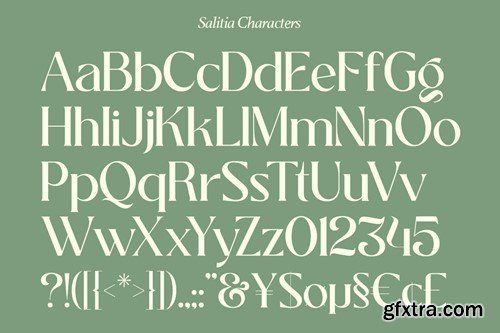 Salitia - Modern Serif Family CVS7MEJ