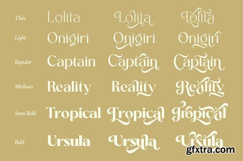 Salitia - Modern Serif Family CVS7MEJ